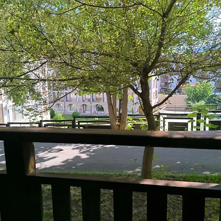 Apartment Wild Deer